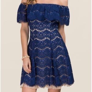 Francesca’s 💙 Eden Blue lace dress Sz S